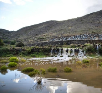 قرى ربيعة ورفيدة شمال غرب مدينة أبها5