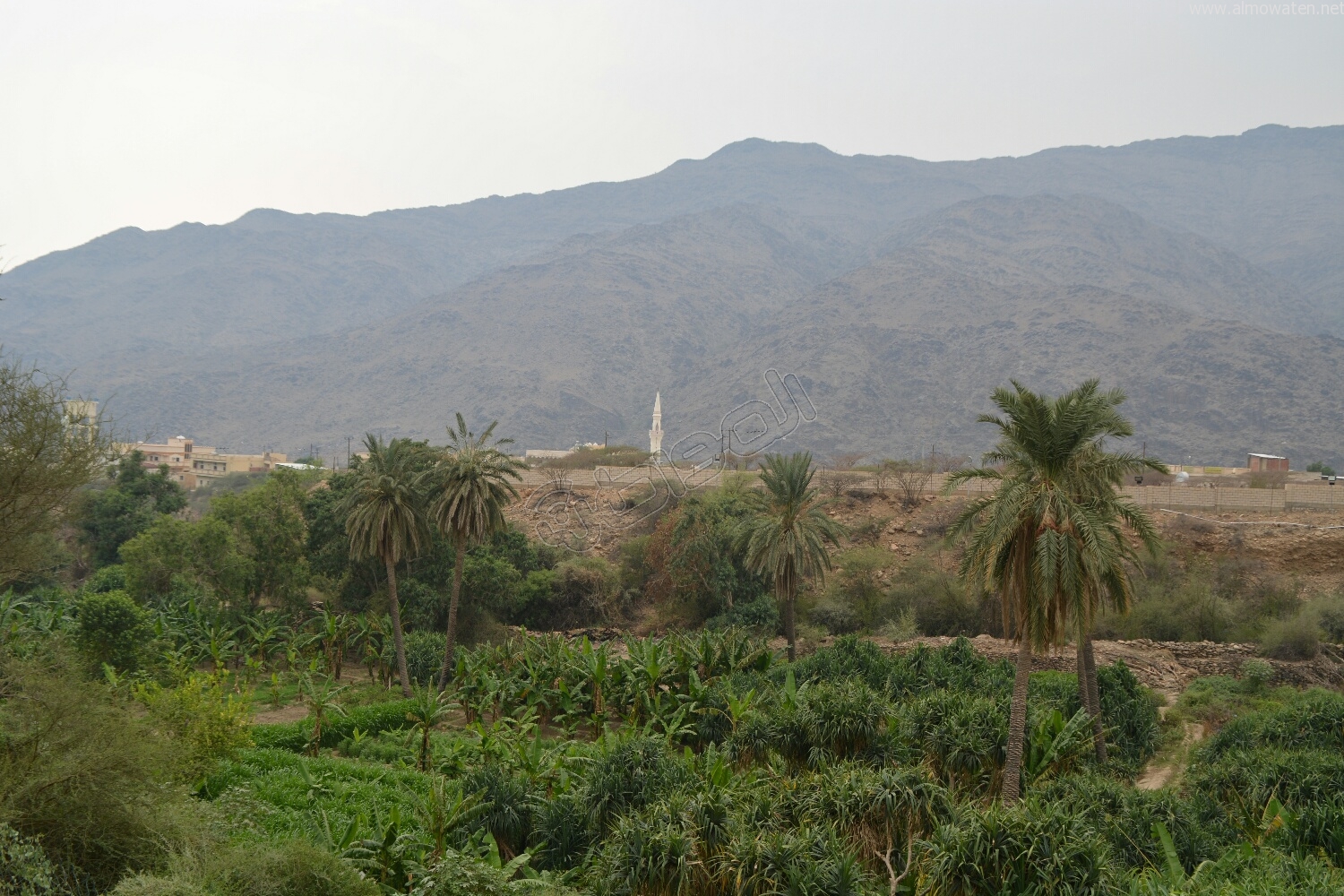 بالصور.. ذي عين #الباحة .. جمال يحتاج نظرة مسؤول