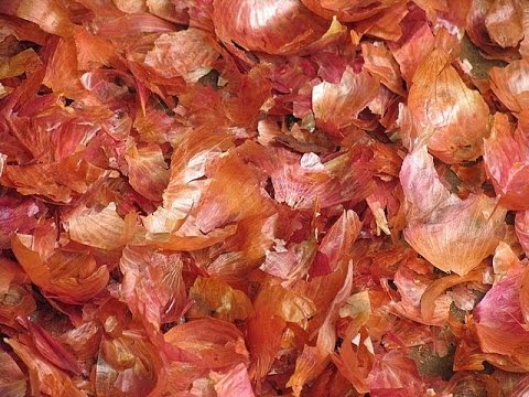 بلاغ مواطن يقود لمصادرة أكثر من 9 أطنان بصل في الخنساء 