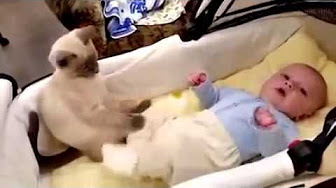 شاهد.. قط يحمي طفلاً رضيعاً أثناء نومه