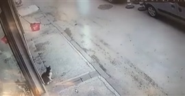 فيديو كوميدي.. قطة تضع شابًّا في موقف محرج بطريق عام