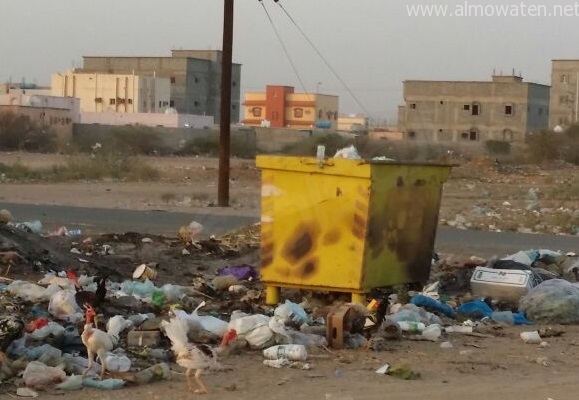 بالصور.. سوء النظافة والشوارع الرملية تؤرق سكان “قنبورة أبوعريش”