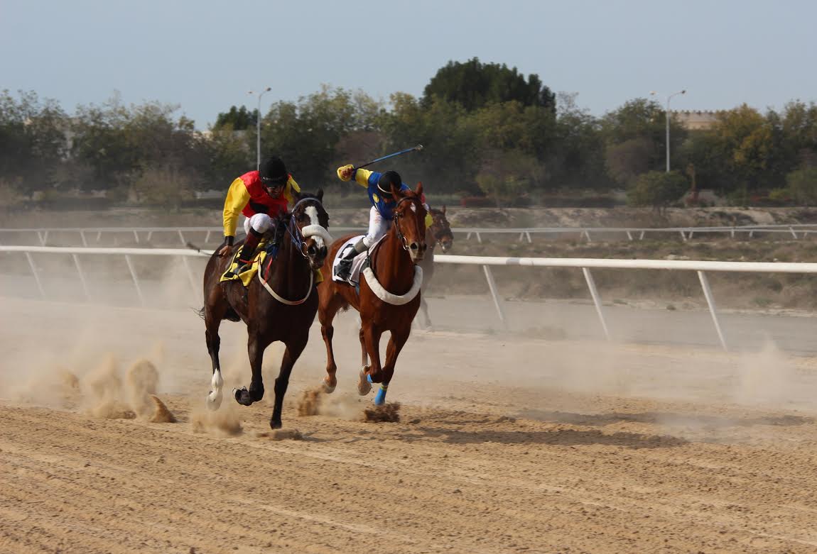 نادي الفروسية يُطلق سباقات الخيل للمصيف بالطائف