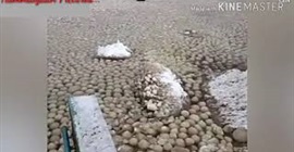 شاهد.. سر ظهور آلاف الكرات الثلجية على ساحل روسي