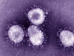 الخضيري: فيروس كورونا شبيه بالأنفلونزا العادية