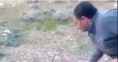 مشهد مروع.. اردني يحرق كلباً على قيد الحياة