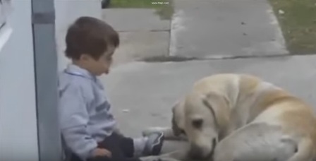 فيديو.. لن تصدق ما فعله هذا الكلب مع طفل معاق