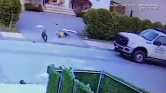 فيديو مروع.. كلب يهاجم طفلاً أمام منزله بشراسة