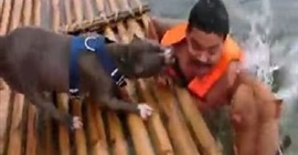 بالفيديو.. كلبان ينقذان صاحبهما من الغرق