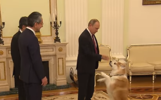 شاهد.. كلبة بوتين تخطف الأنظار خلال زيارته لليابان