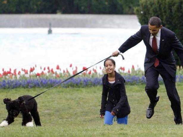 كلبة عائلة اوباما تعض شابة في البيت الابيض