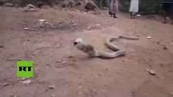 شاهد.. كوبرا تلفظ زجاجة ابتلعتها بالكامل