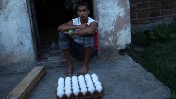 في كوبا.. الإطاحة بعصابة سرقت 18 مليون بيضة!!