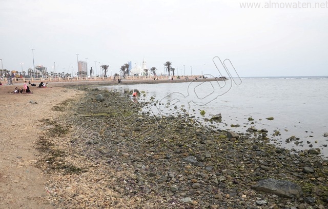 بالصور.. مخلّفات تُنذر بكارثة بيئية وصحية لمرتادي كورنيش #جدة!