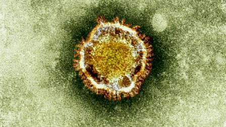 فيروس “كورونا” يغزو الإمارات