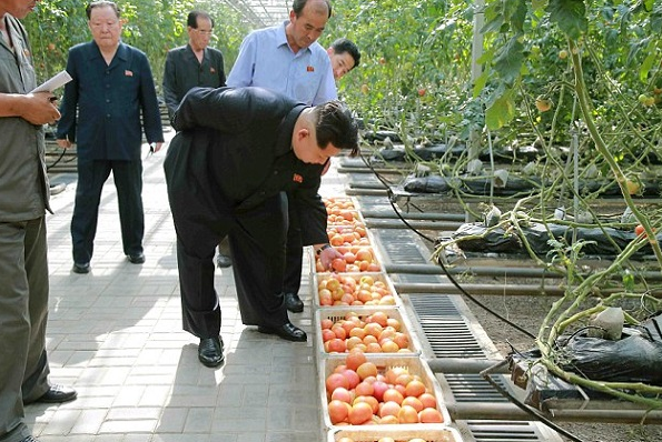 “كيم جونغ” يفحص الخضروات ميكروسكوبياً قبل تناولها