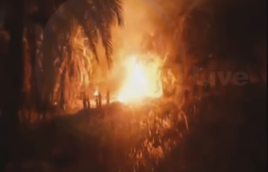 بالفيديو.. لحظة اشتعال النار في مزارع النخيل بواحات مصر