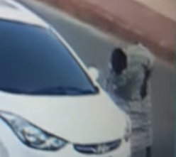 فيديو لص يسرق محفظة مواطن أثناء نزوله من السيارة