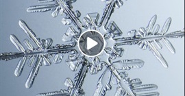 شاهد.. لقطات ميكروسكوبية لتشكيلات فنية مذهلة داخل بلورات الثلج