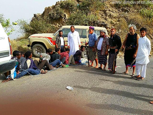 شاهد بالصور.. قبيلة آل شراحيل تلاحق المتسللين