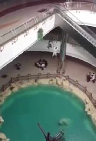 بالفيديو.. متهوران يقفزان من الطابق الثاني بسوق في #المدينة