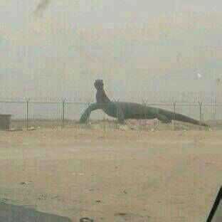 بالفيديو.. مجسم تذكاري بالكويت يتحول إلى “ضبّ” يقتحم مطار شرورة