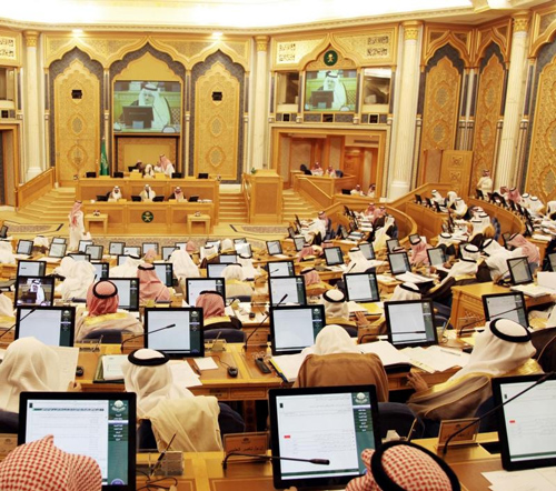 مجلس الشوري يصوّت على إنشاء مجلس أعلى للشباب بعد غد