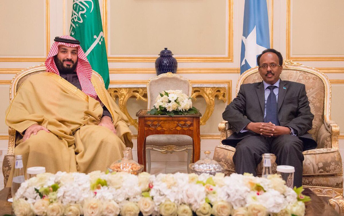 ولي ولي العهد ورئيس الصومال يبحثان التعاون الثنائي ومستجدات المنطقة