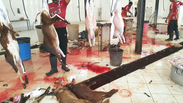 بالصورة.. في #بارق : قوائم للذبح وانعدام للنظافة وأسعار نار قرب عيد الأضحى