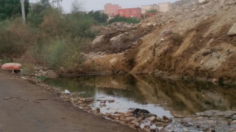 المياه الوطنية تعلق على مستنقعات منارات جدة: من اختصاص أمانات المدن