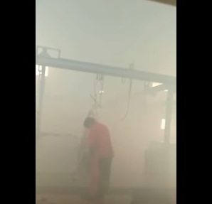 بالفيديو.. عمال يرشون مسلخاً بالمبيدات الحشرية بالخفجي.. والأمانة تباشر