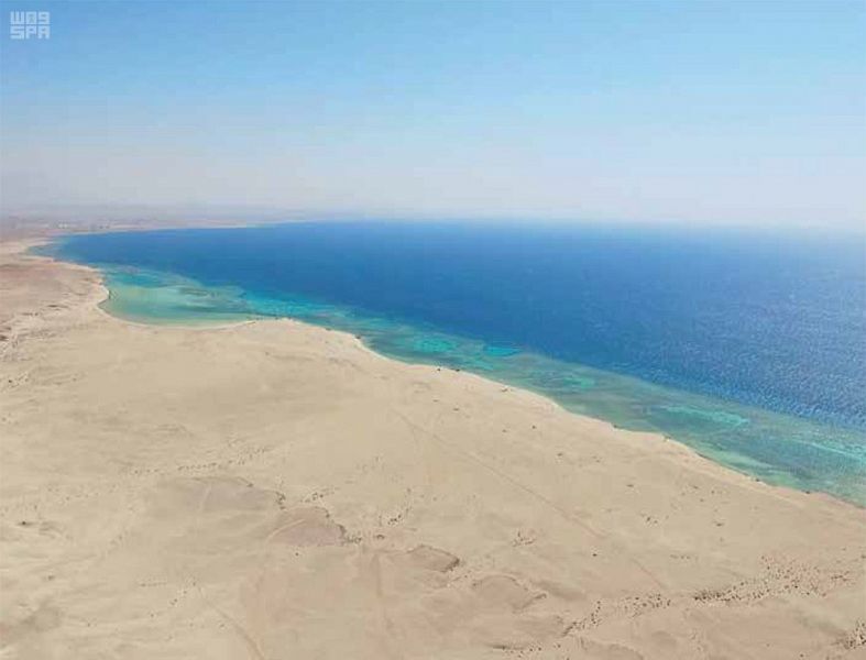 بحث علمي: موقع شق البحر لنبي الله موسى كان في السعودية