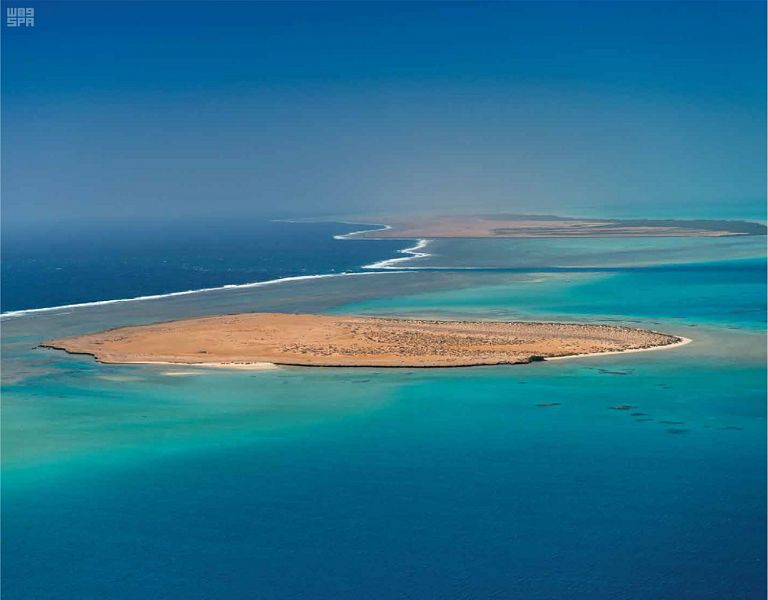 خيرة الطيور