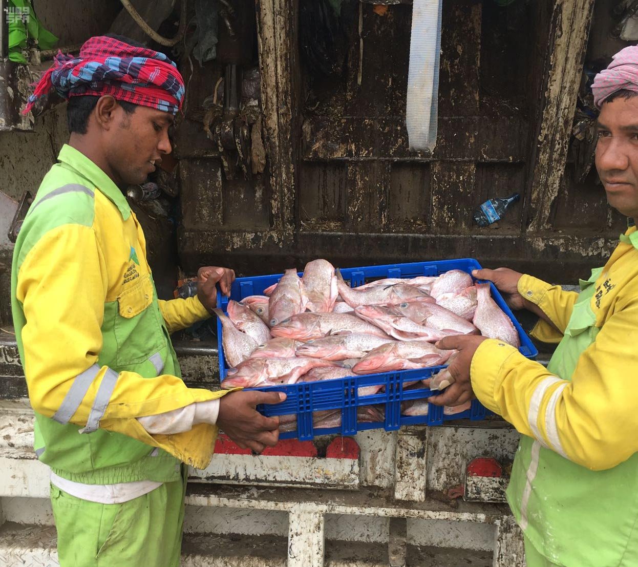 مصادرة 150 كجم من الأسماك الفاسدة قبل تجهيزها كوجبات في بحرة