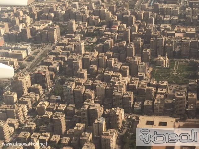 مصر8