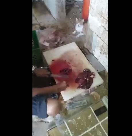 فيديو مقزز لعامل بمطعم يقطع الكبدة بحضور القطط