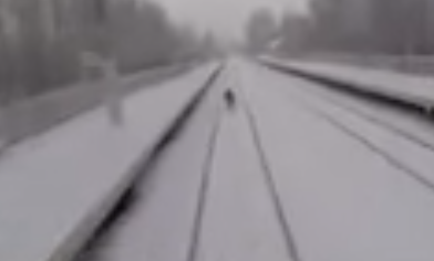 مغامر روسي يتعلق بقطار ليتزلج بسرعة عالية