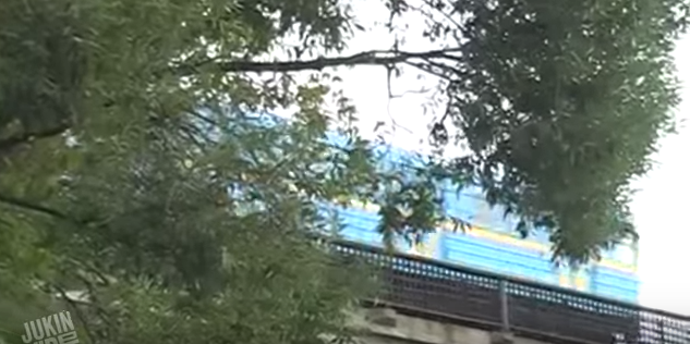 مغامر يقفز من سطح قطار متحرك الى نهر في أوكرانيا