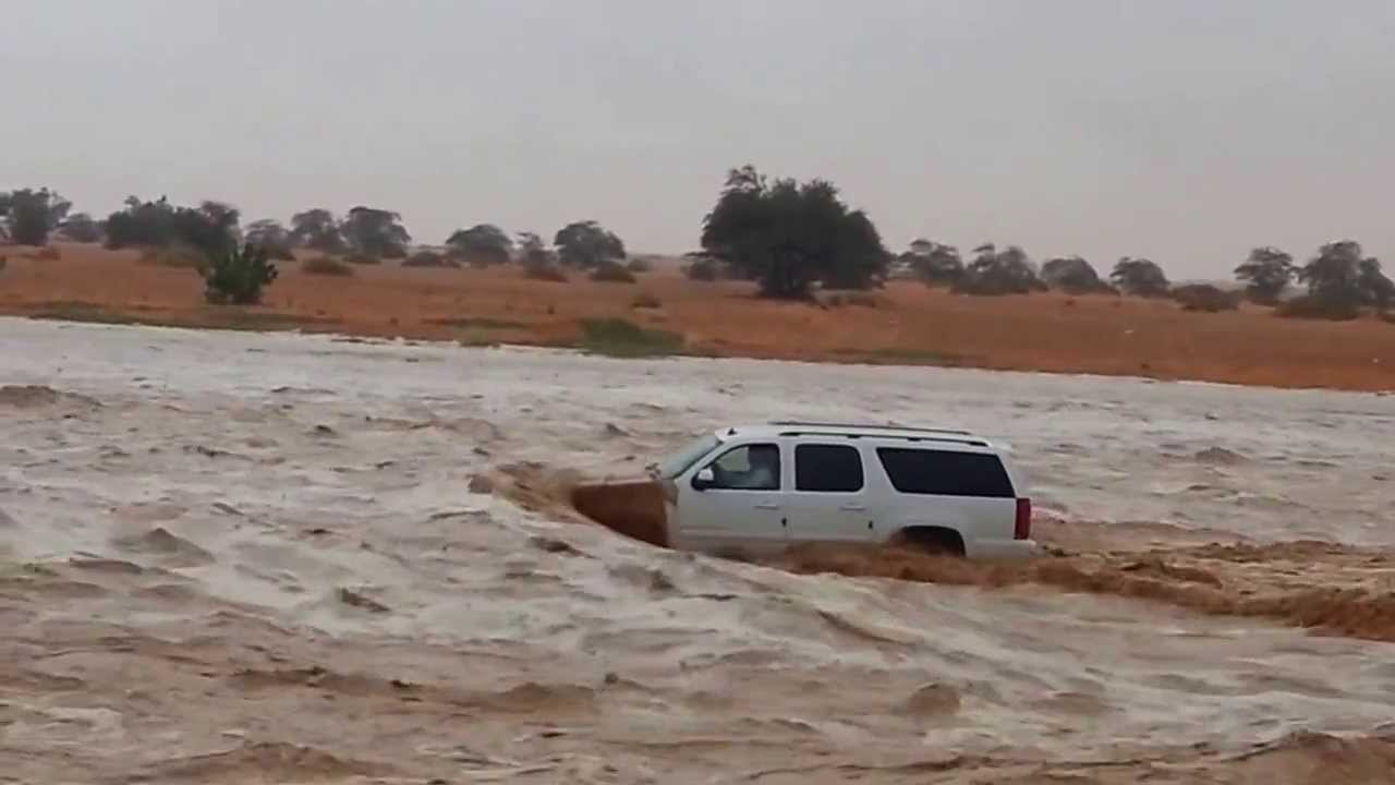 بالفيديو.. مغامرون يخاطرون بحياتهم في السيول