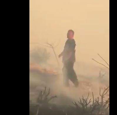 بالفيديو.. ملك الأردن يشارك في إطفاء حريق في غابة مجاورة للقصور الملكية