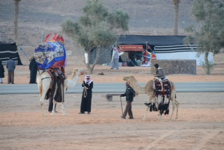 “حياة البادية” تأسر عشاق الماضي في مهرجان الصحراء