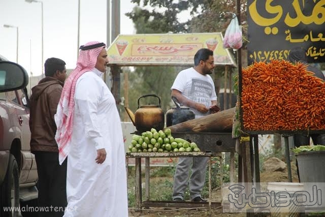 منتزهات مدينة الطائف4