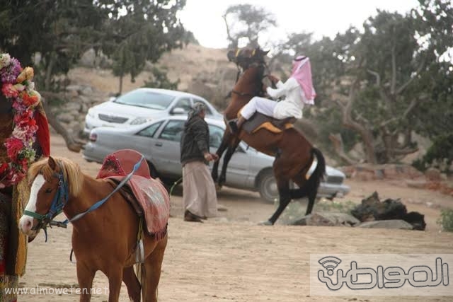 شاهد بالصور.. أمطار #الطائف تلطف الأجواء وتدفع الأسر للخروج والتنزه