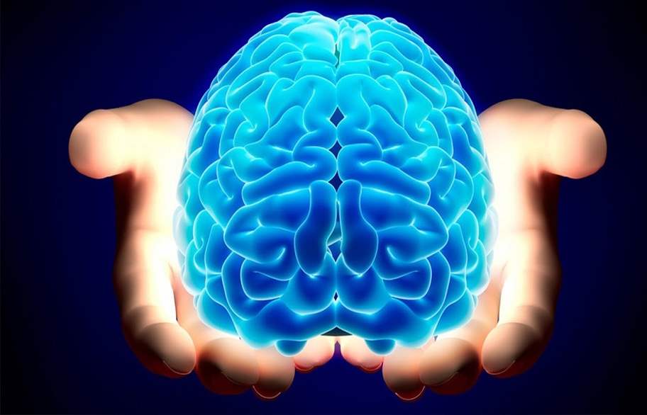 علماء يتوصلون إلى منطقة الضمير في المخ البشري