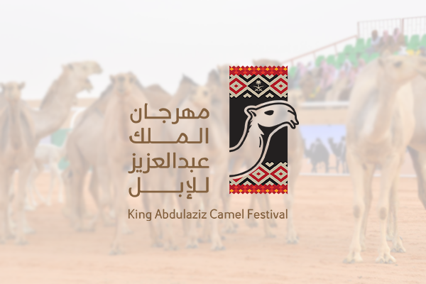 مهرجان الملك عبدالعزيز يُنعش بورصة الإبل بـ400 صفقة