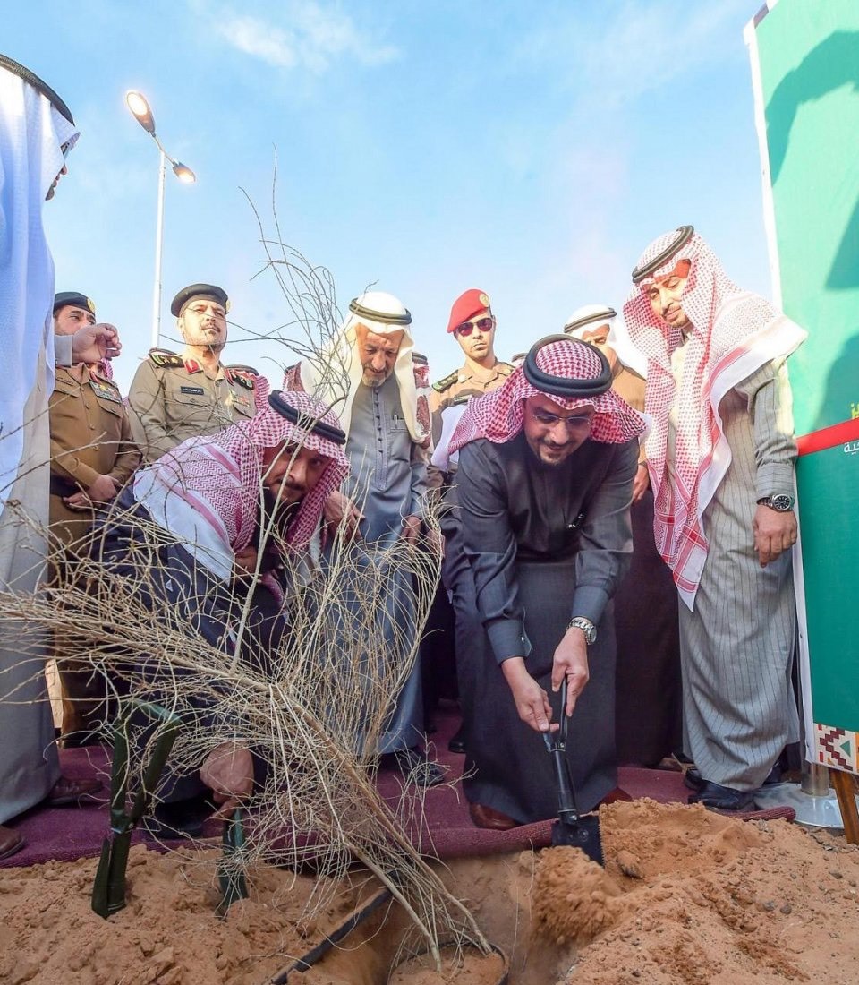 بالصور.. مهرجان الغضا يخصص 5000 م2 لاستزراع شجرة الغضا