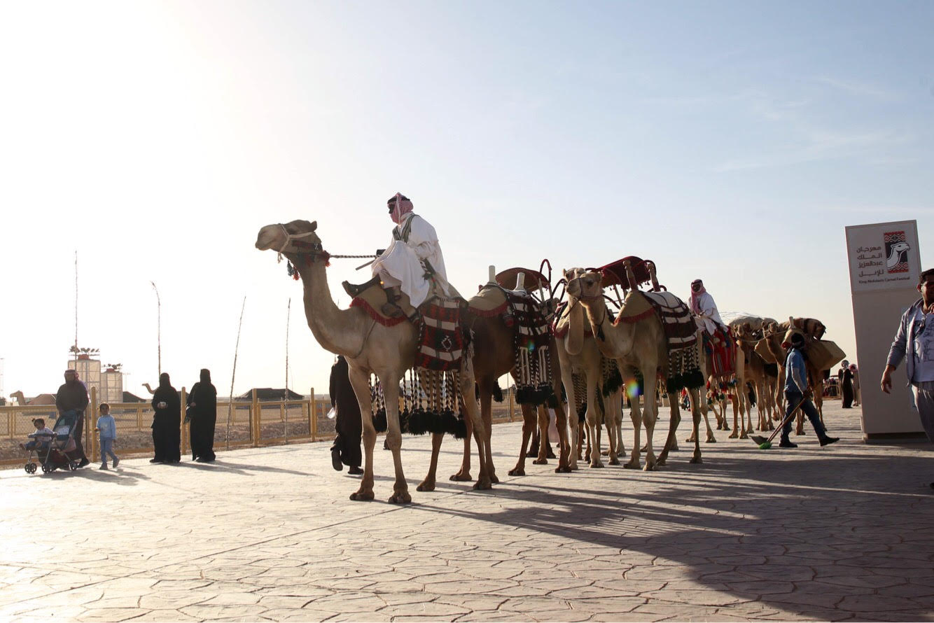 كُتاب ومثقفون: مهرجان الملك عبدالعزيز للإبل سيساهم في تسارع العجلة الاقتصادية