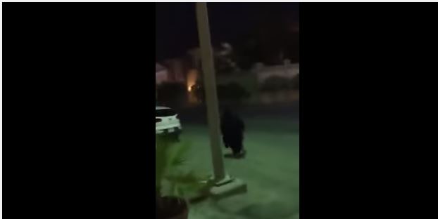 بالفيديو.. مواطن يطارد امرأة حاولت سرقة منزله برفقة شريكها