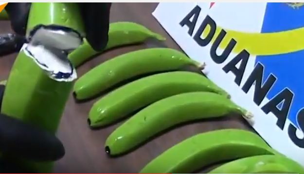 بالفيديو..كيف أخفى المهربون 17 كجم من الكوكايين في الموز؟