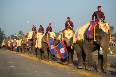موكب للأفيال في لاوس.. أرض المليون فيل